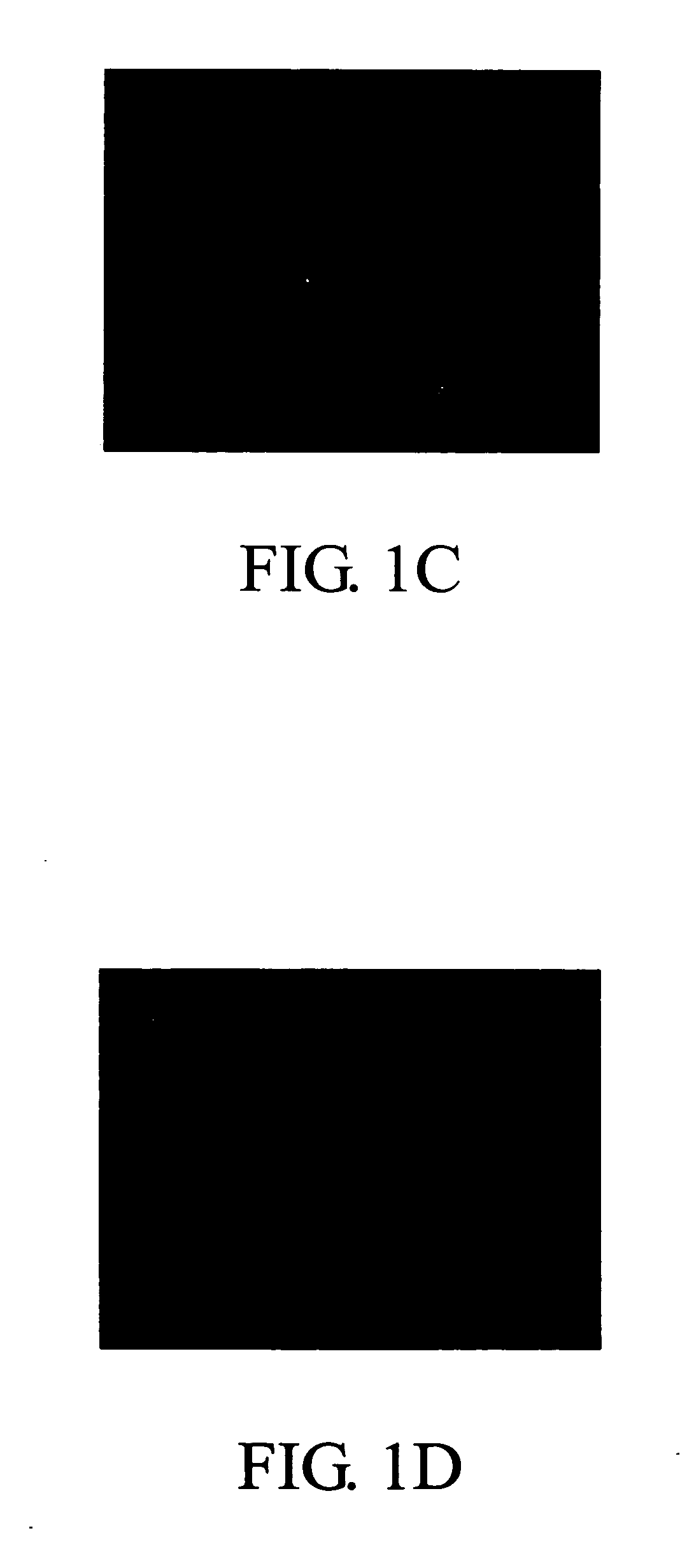 Histone hyperacetylating agents for promoting wound healing and preventing scar formation