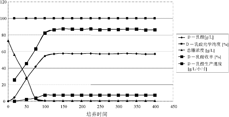 Polypeptide having d-lactate dehydrogenase activity, polynucleotide encoding the polypeptide, and process for production of d-lactic acid