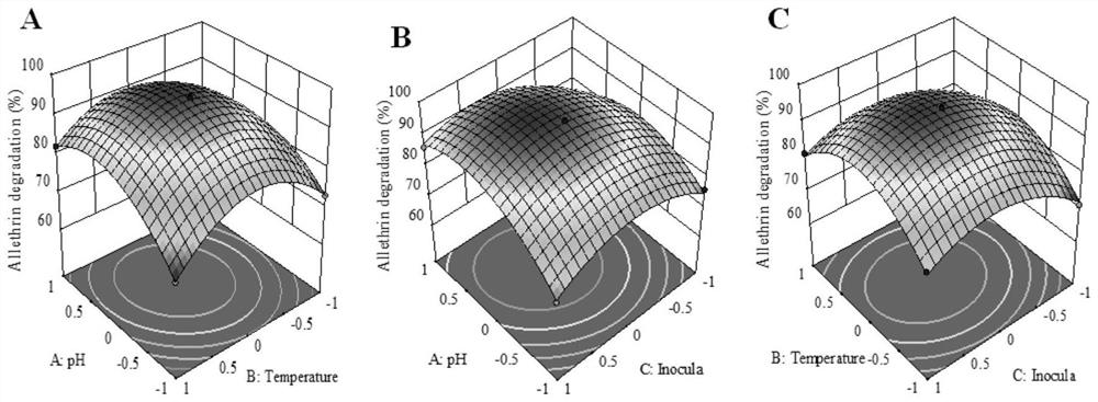 Pyrethroid insecticide degrading strain as well as microbial inoculum and degrading process thereof