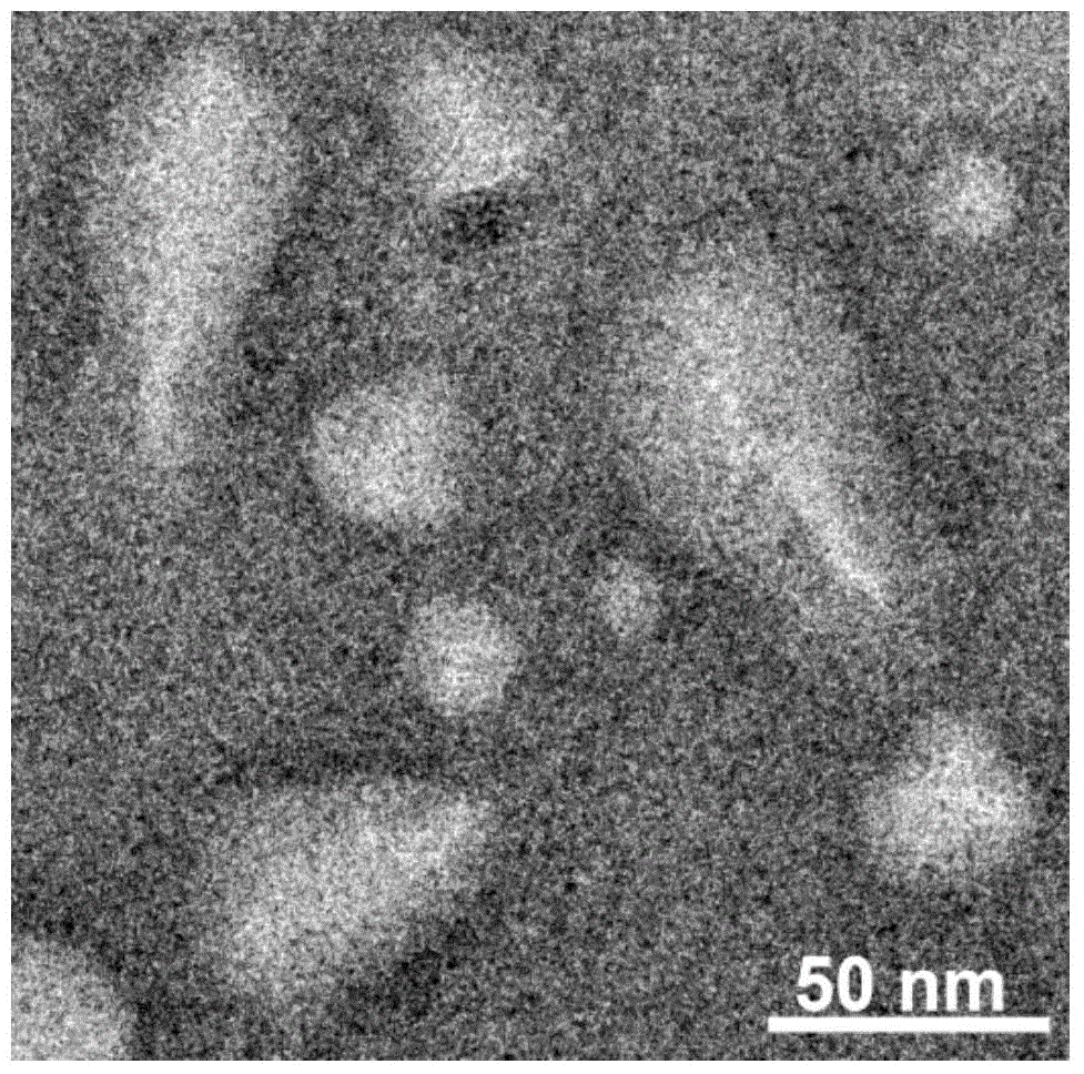 A kind of thermosensitive liposome and its preparation method and application