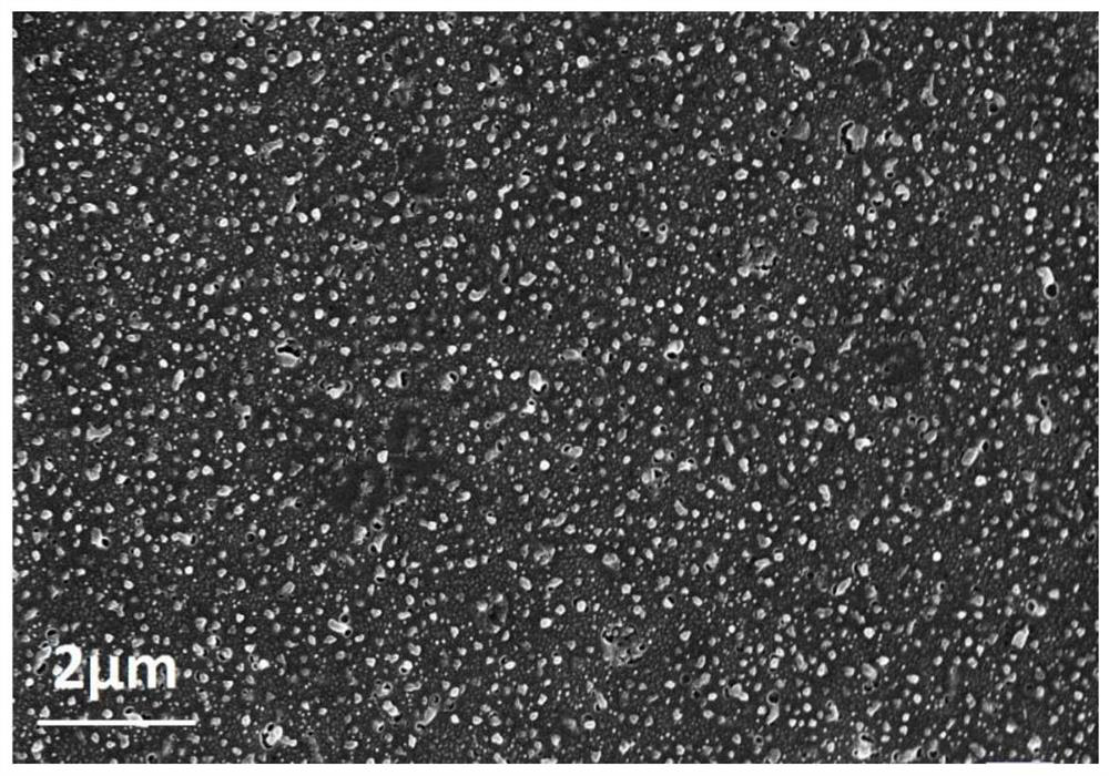 A kind of flexible solid-state lithium ion conductor applied to battery and preparation method thereof