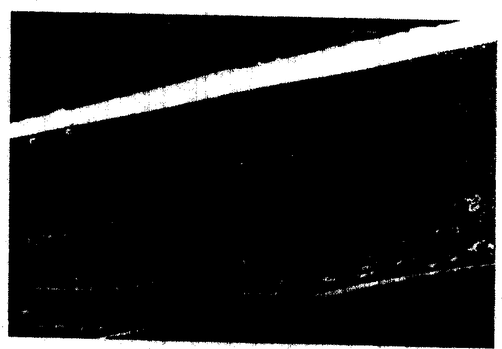 Low vacunm bonding method of polydimethylsiloxane chip