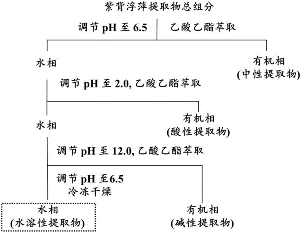 Application of water-soluble extract of spirodela polyrrhiza in promoting denitrifying activity of denitrifying microorganisms