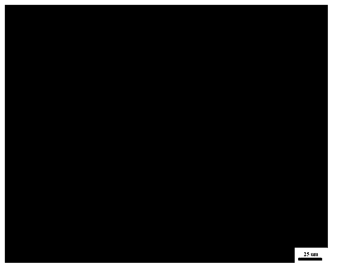 Penicillium oxalicum LJ302 capable of degrading chlortetracycline