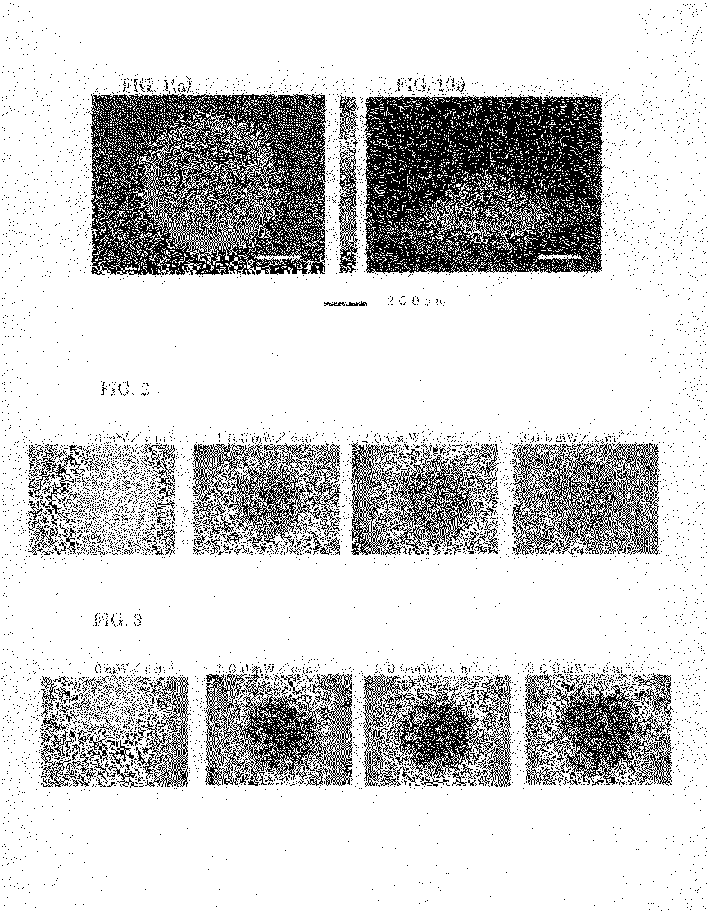 Method of differentiation induction to osteoblasts