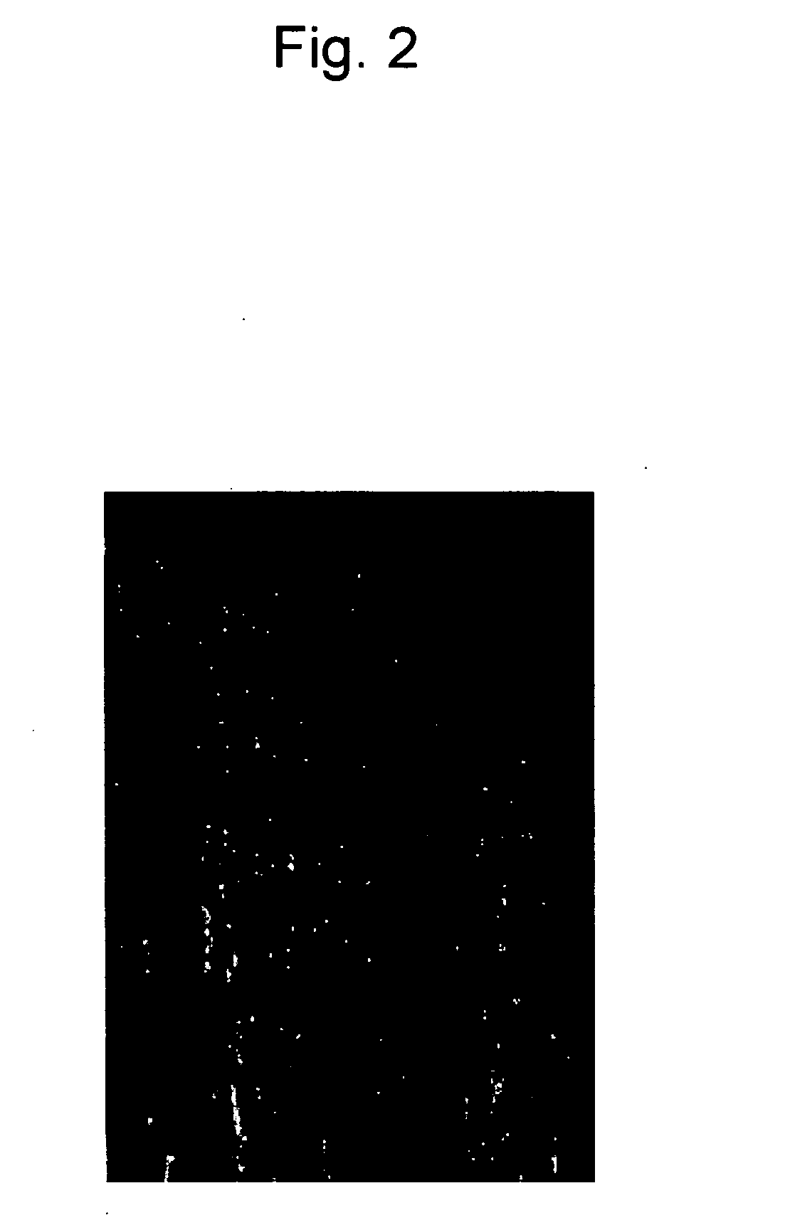 Noninvasive measuring device for substance in blood via nail and a nail evaporation device