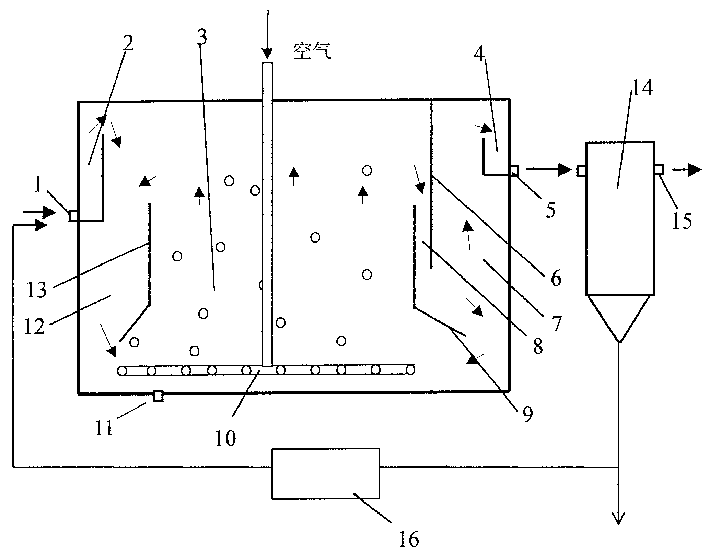 Sewage treatment bioreactor