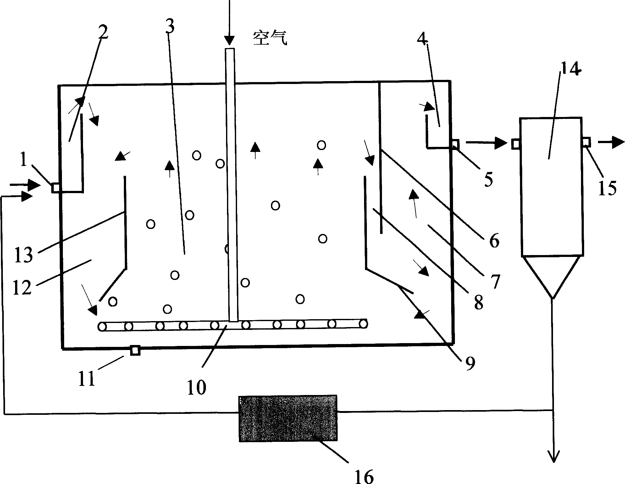 Sewage treatment bioreactor