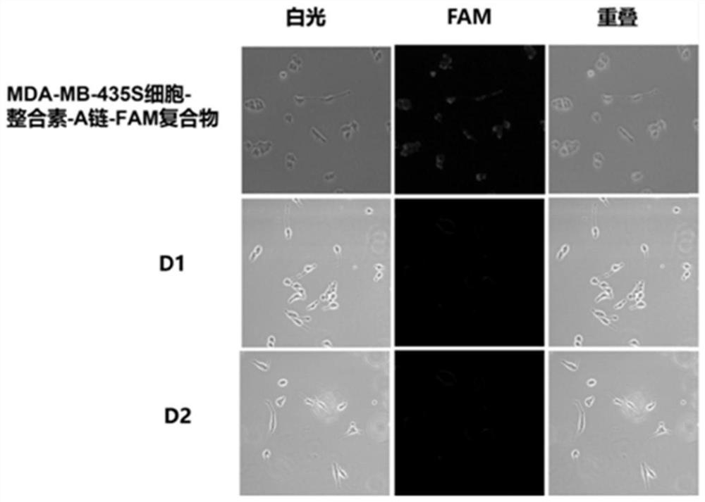 Screening methods and kits for DNA-encoded molecular libraries