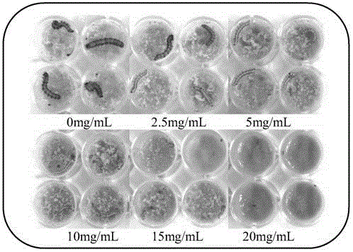 Mongolian oak wood vinegar extract, preparation method and application thereof and harmless insecticide