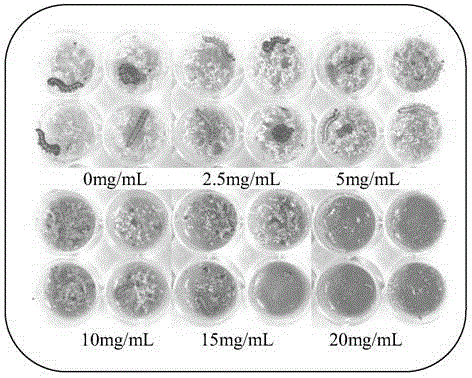 Mongolian oak wood vinegar extract, preparation method and application thereof and harmless insecticide