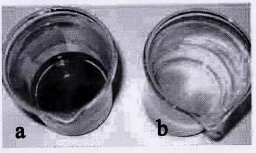 A kind of preparation method of complex type macroporous ion exchange resin