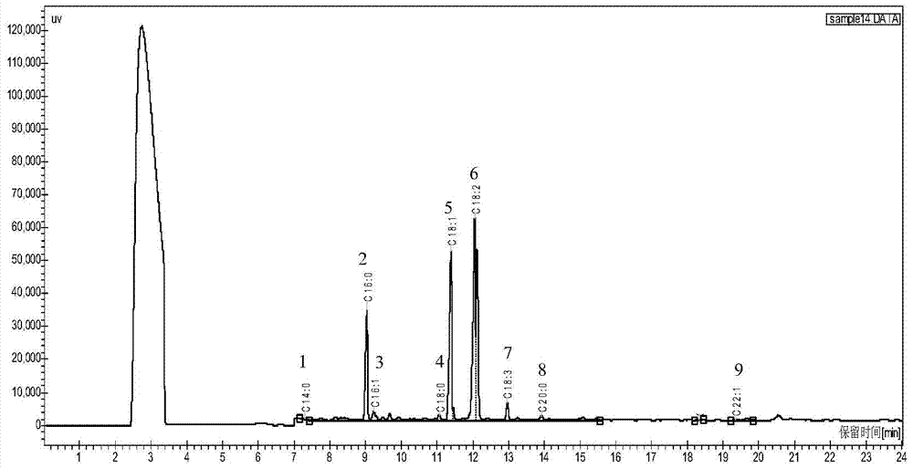 Comprehensive Utilization Method and Products of Cumin