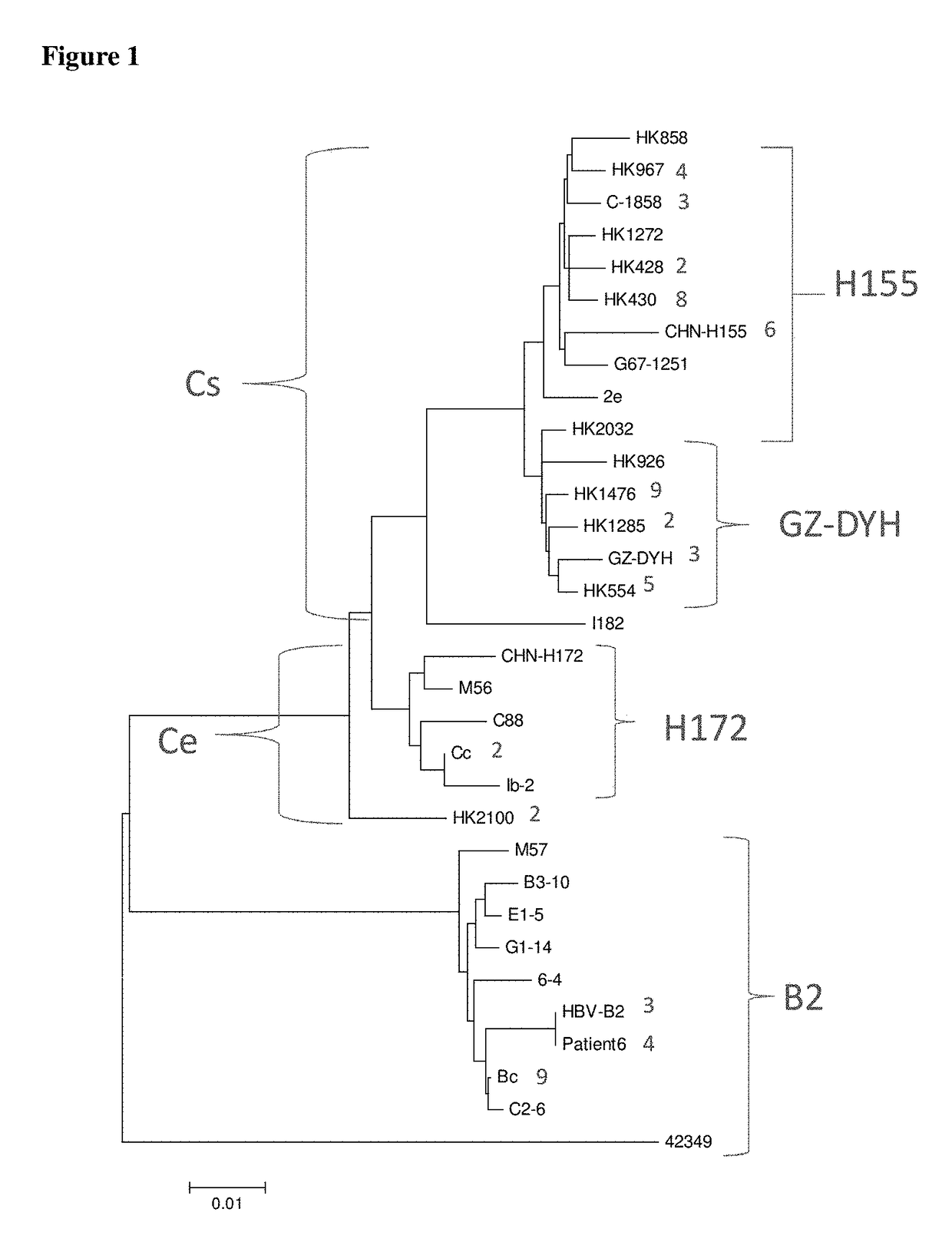 Effect of HBV on clinical outcome of hepatocellular carcinoma cancer patients