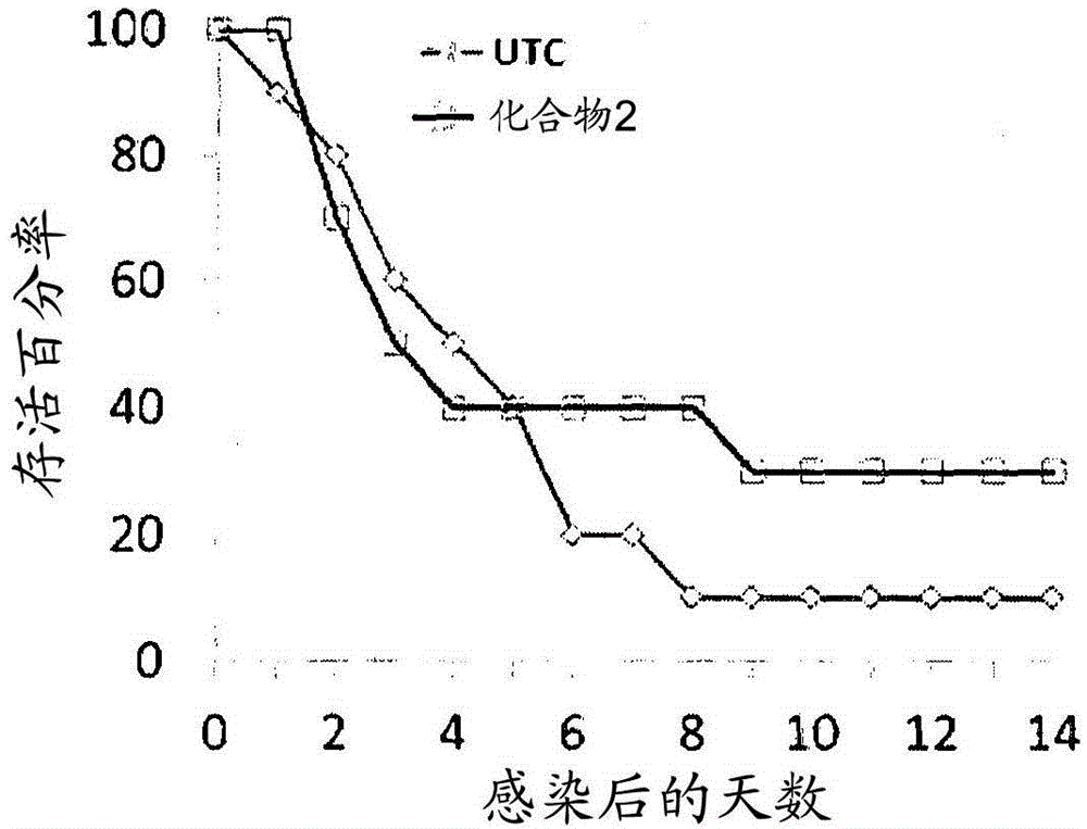 Peptidomimetic compounds as immunomodulators