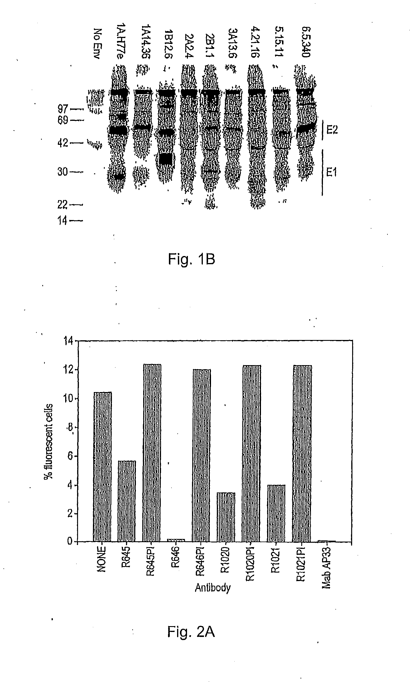 Treatment and prevention of viral infections