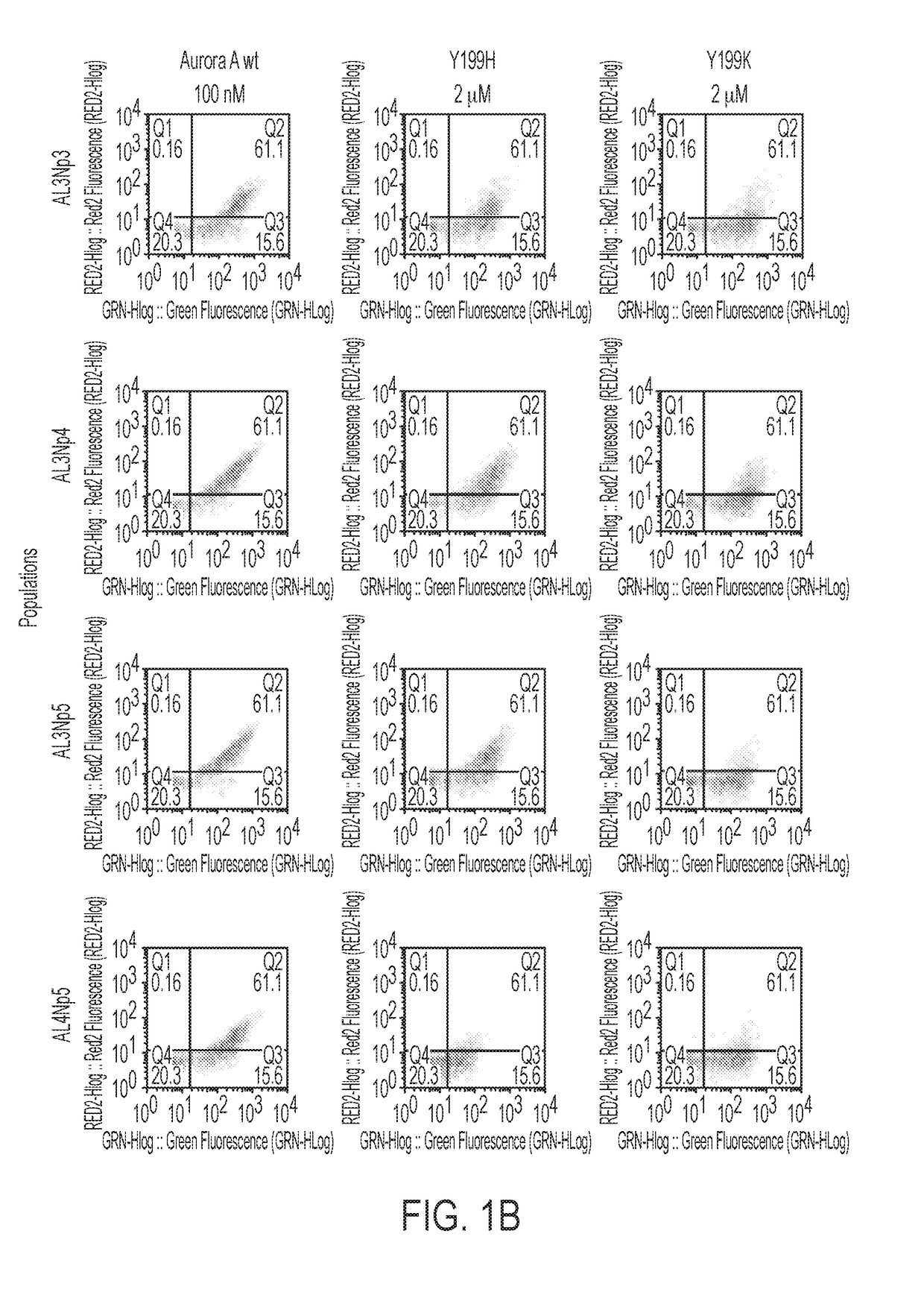 Compositions and methods for modulating kinase activity