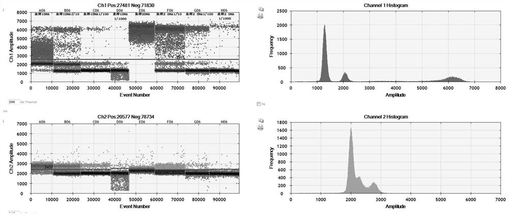 Kit for detecting genotype of mitochondrion locus 3243 and method