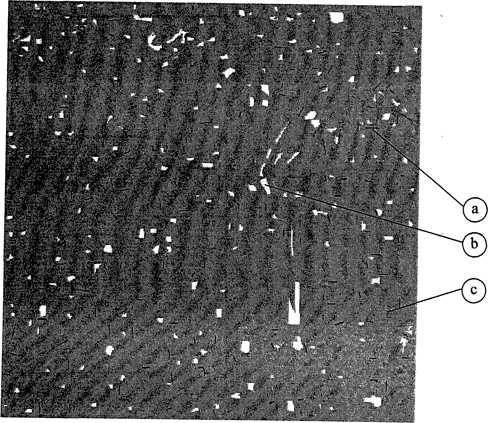 Classification method for syncretizing optical spectrum information and multi-point simulation space information