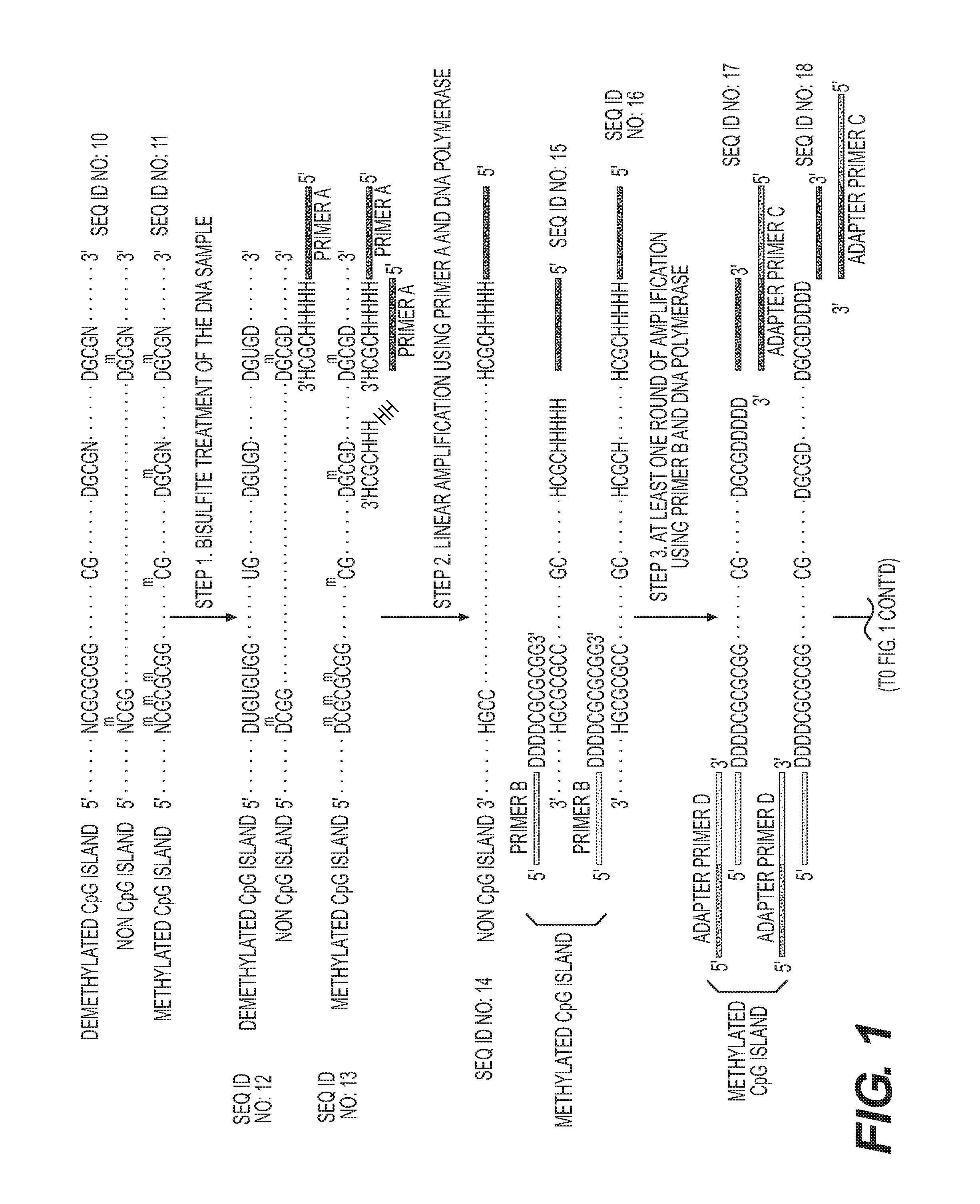 High-throughput sequencing detection method for methylated cpg islands