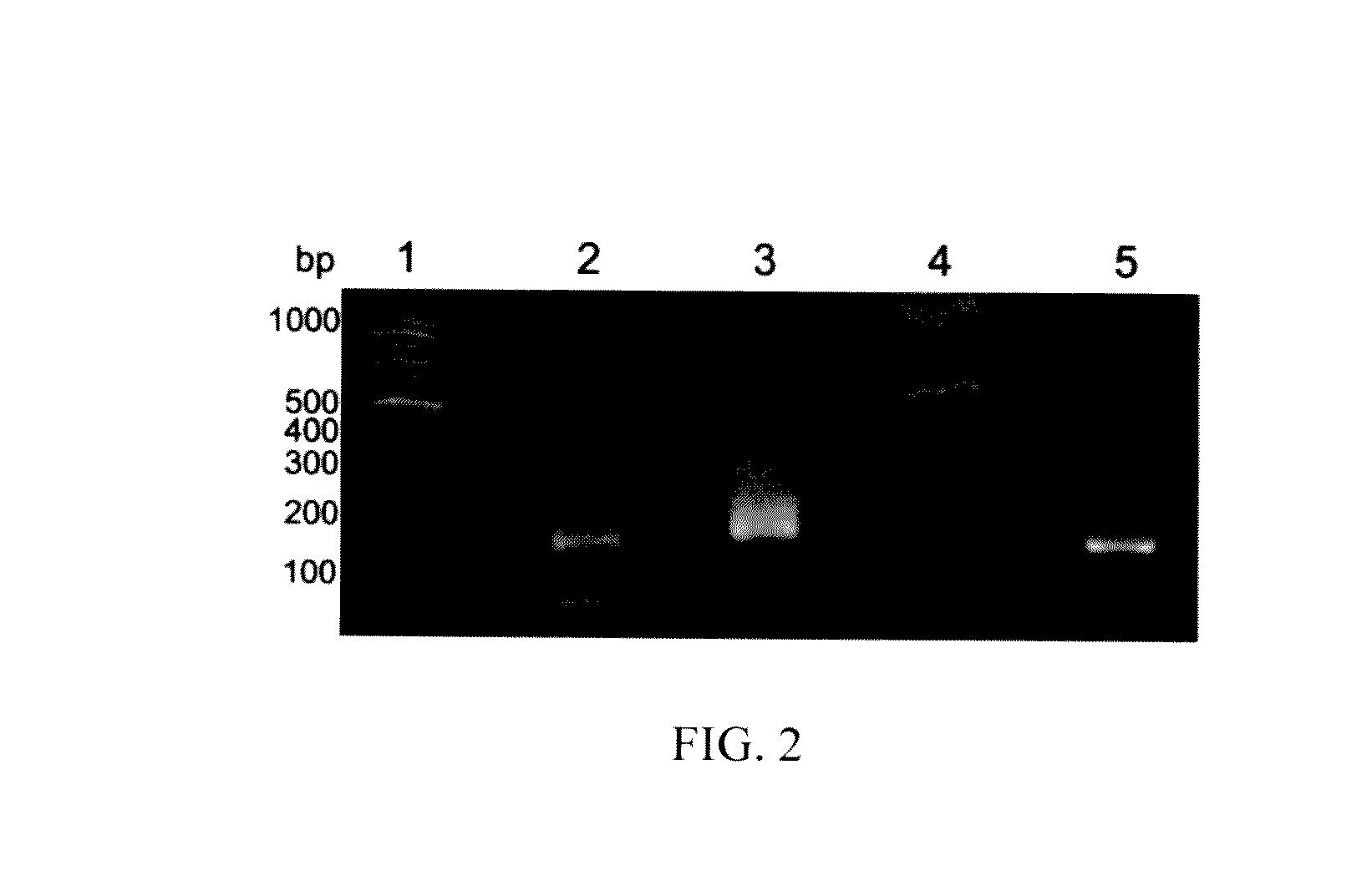 High-throughput sequencing detection method for methylated cpg islands