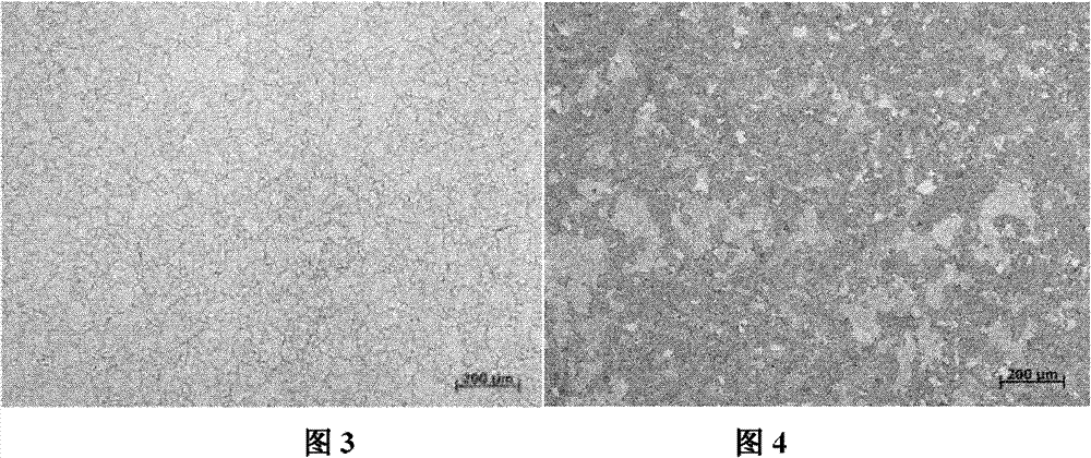 Method for refining grains of large medium high alloy steel forgings