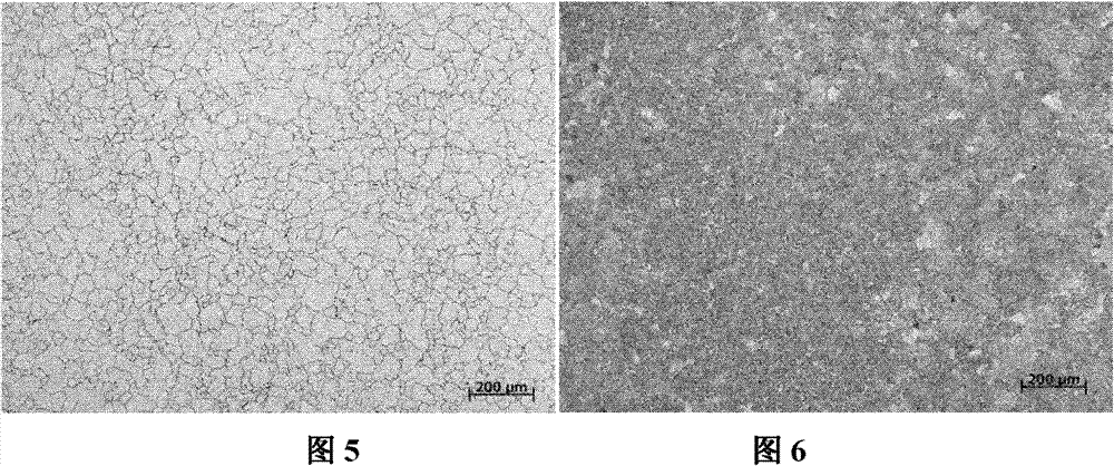 Method for refining grains of large medium high alloy steel forgings