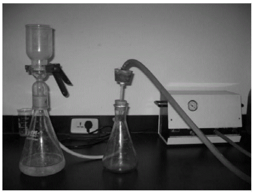 Oligographic bacterium composition and application of oligographic bacterium composition in inhibition on generation of jarosite in biological leaching