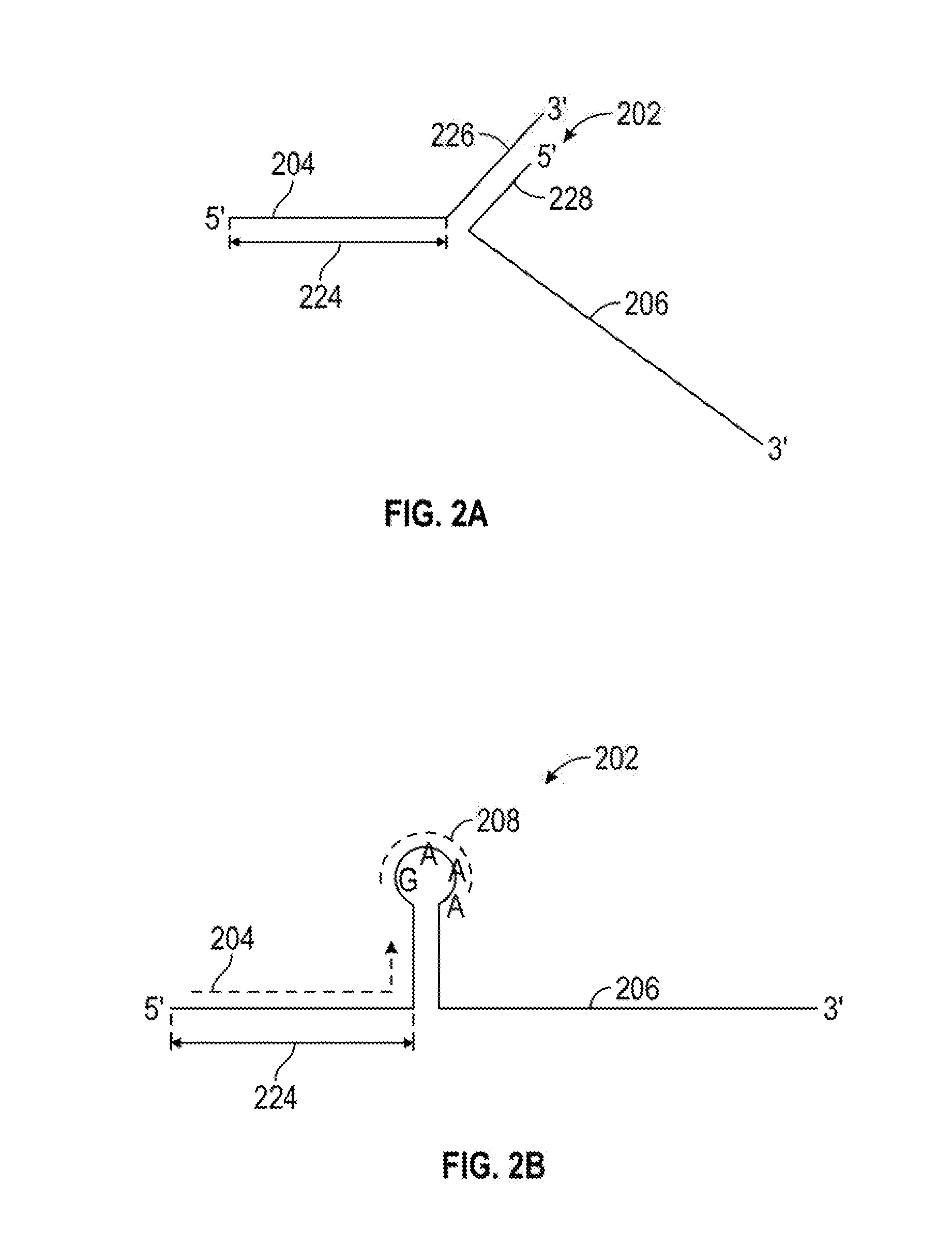 Compounds and methods for crispr/cas-based genome editing by homologous recombination