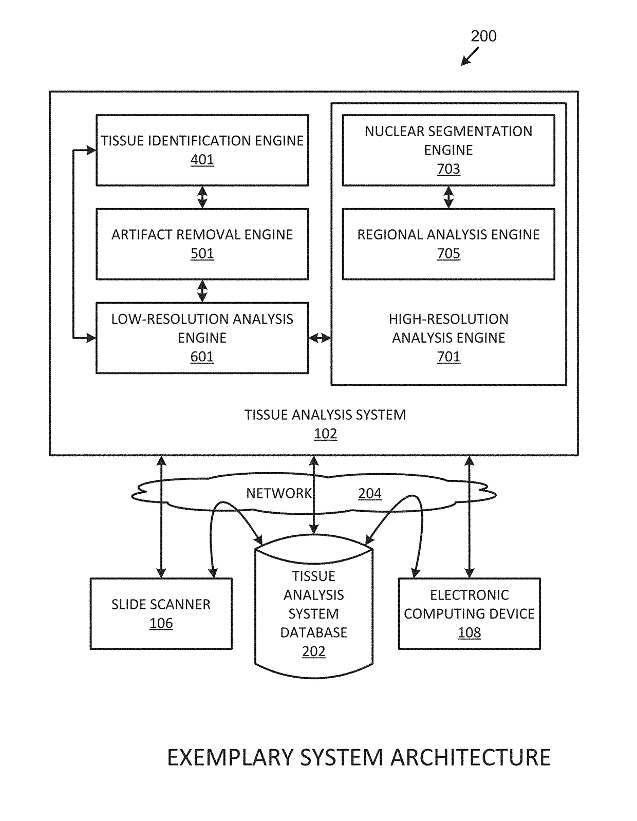 Systems, methods, and apparatuses for digital histopathological imaging for prescreened detection of cancer and other abnormalities