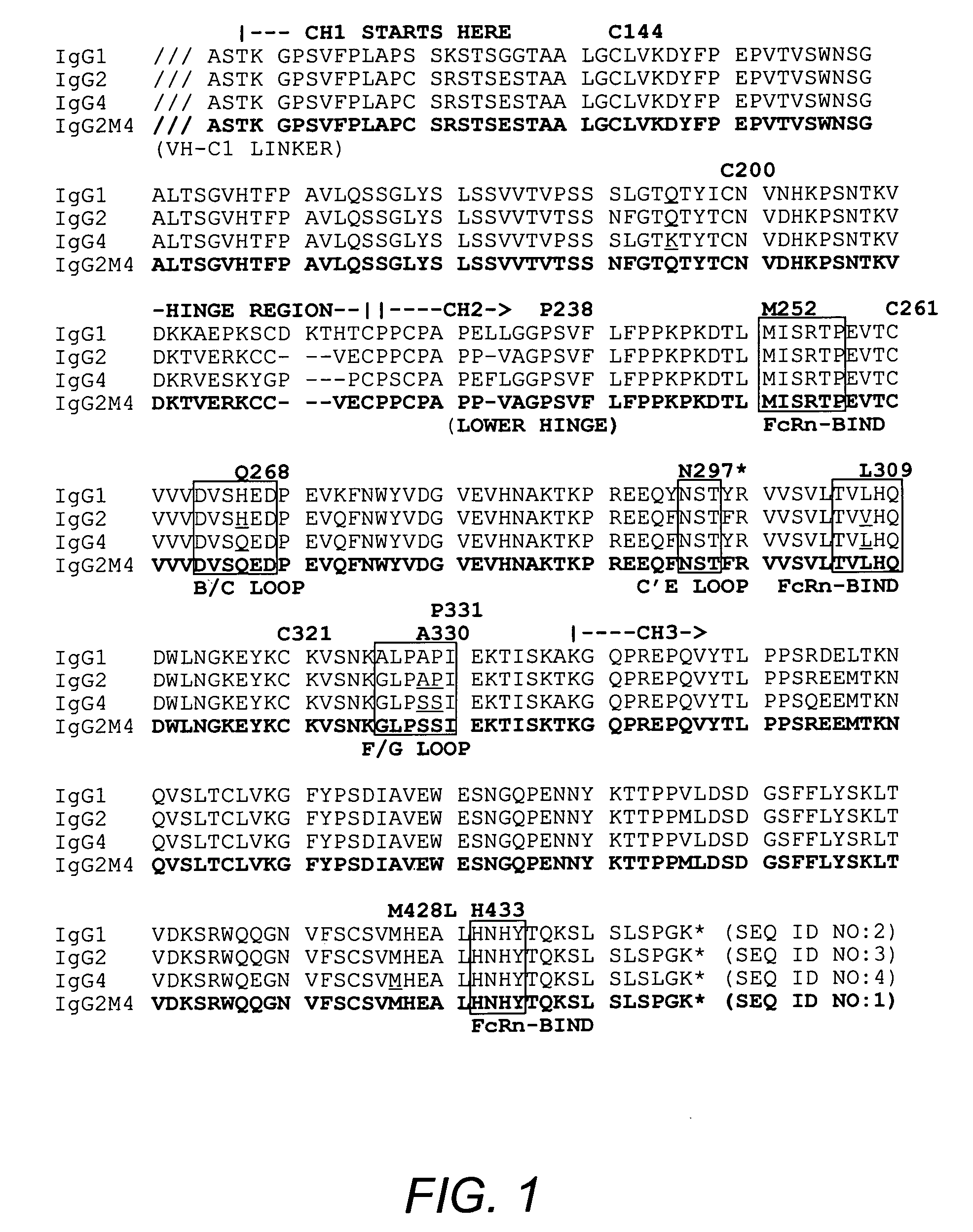 Non-immunostimulatory antibody and compositions containing the same