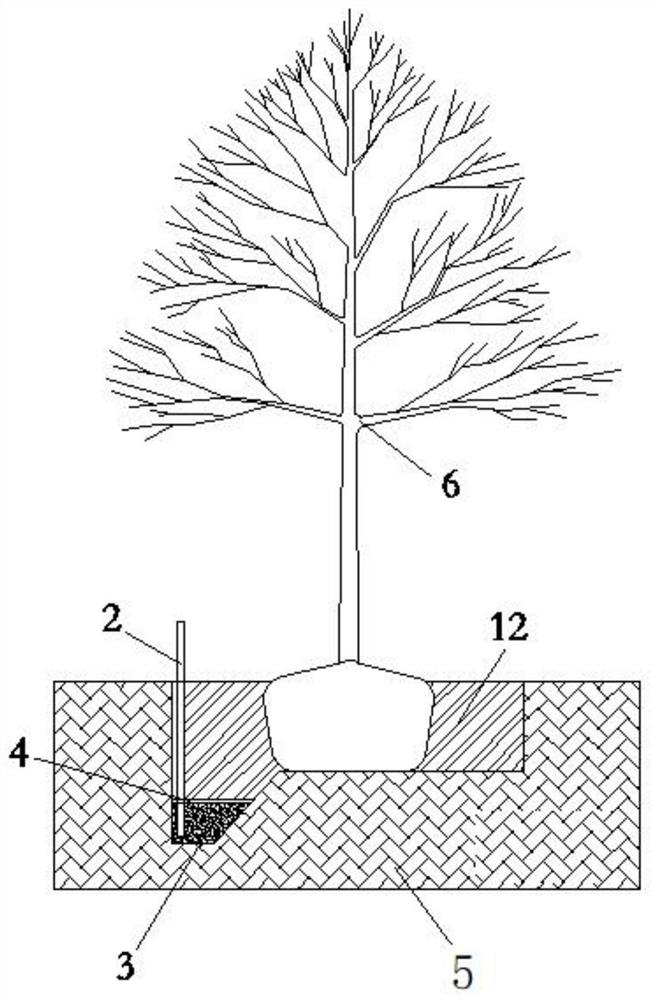 Non-planting season big-DBH (diameter at breast height) arbor construction method in intensive-rain region