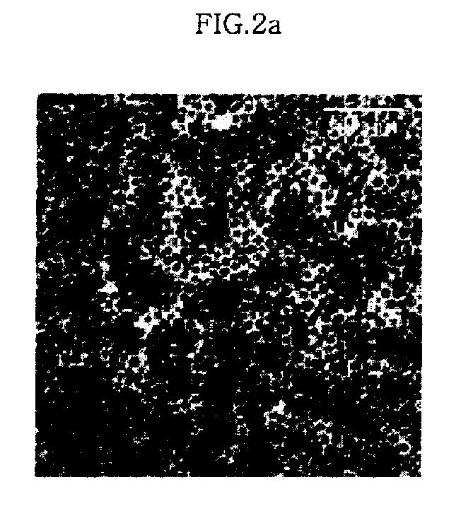 Preparation Method of Magnetic and Metal Oxide Nanoparticles