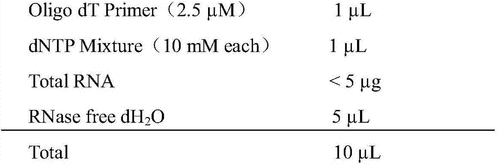 AFP-antigen-based AFP nanobody A83