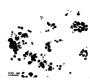 Preparation method of oxidized grapheme/silver particle nanometer compound and application thereof