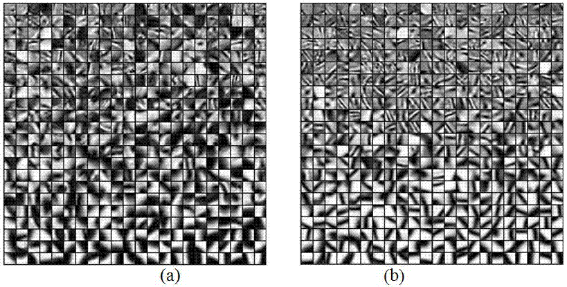 Identification method of primary central nervous system lymphoma and glioblastoma based on sparse representation system