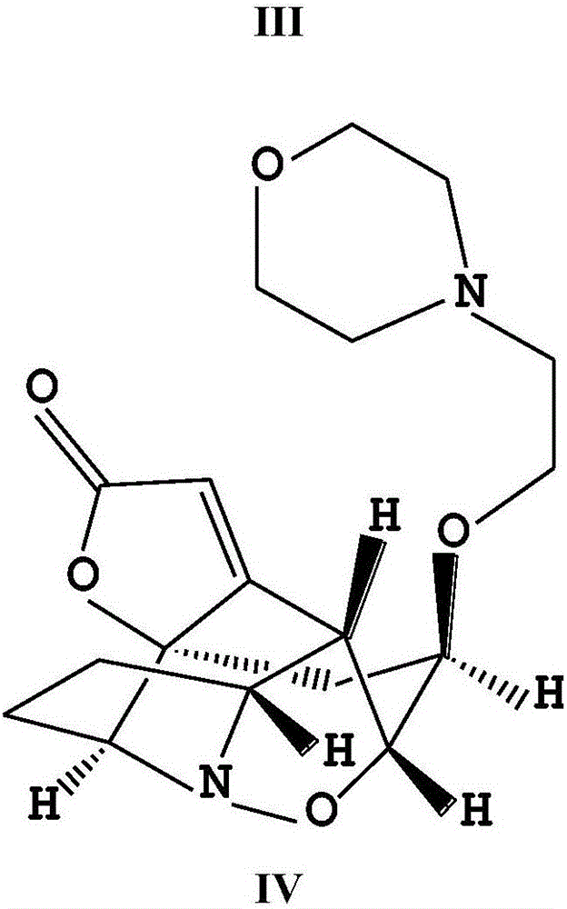 Application of composition of pyrrolidine derivative and morpholinyl derivative of Virosaine A to anti-inflammatory medicine