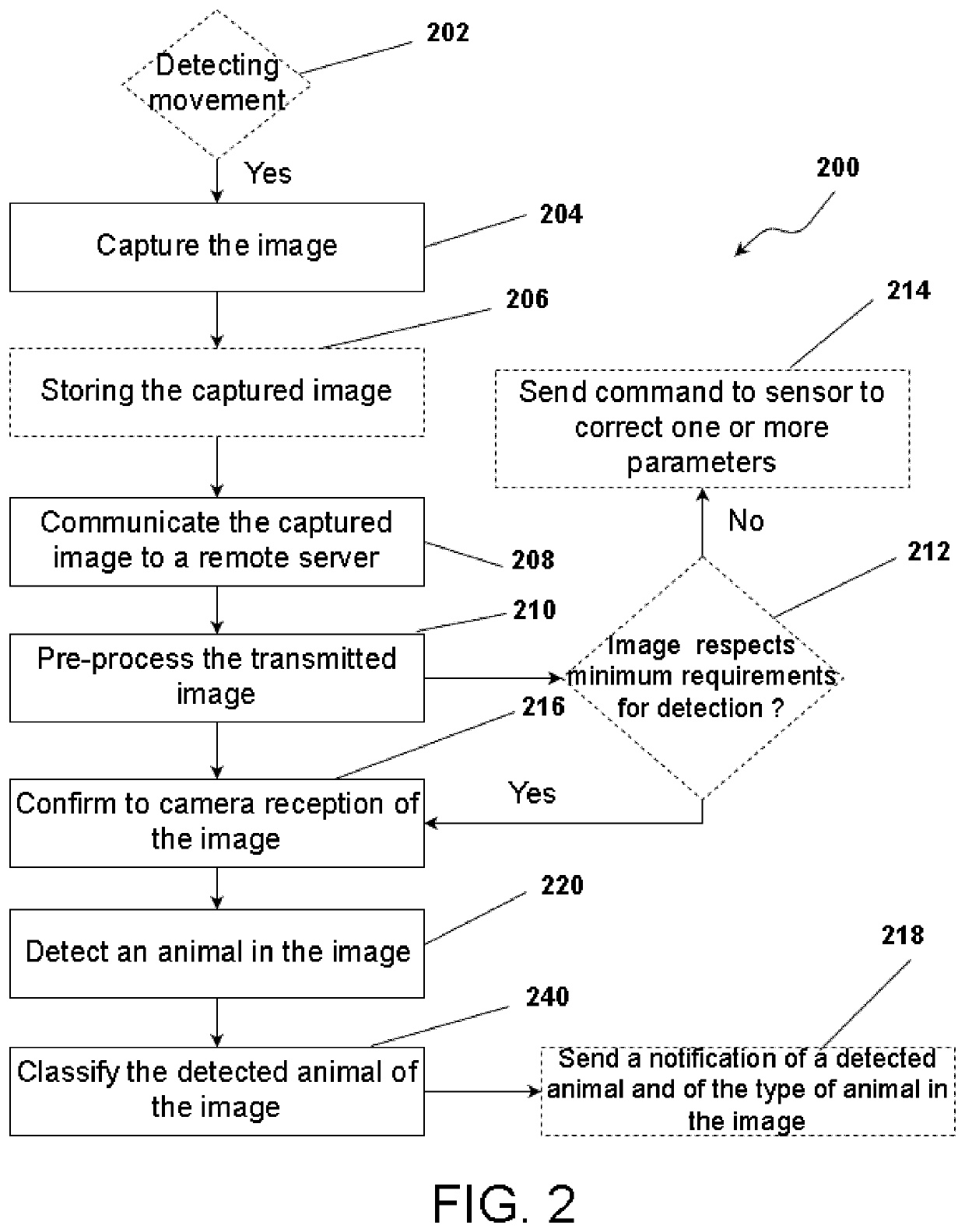 System and method for automatically detecting and classifying an animal in an image