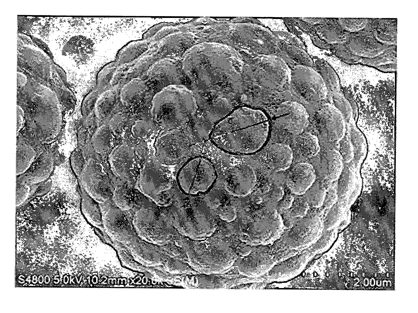 Toner and image forming apparatus