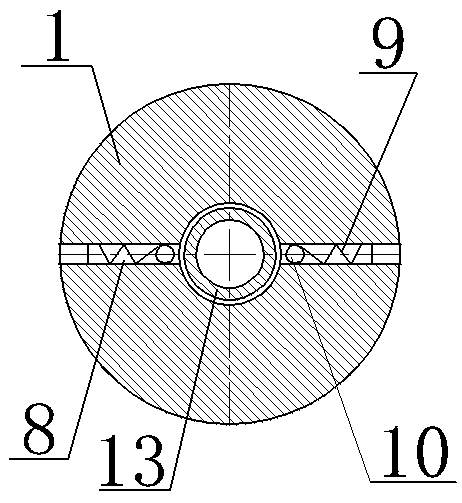 Washing device for riser of nautical oil-gas well