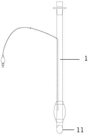 Combined lateral-limiting-type trachea and bronchus catheter