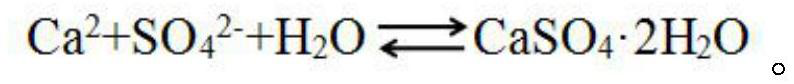 Calcium sulfate gypsum and preparation method thereof
