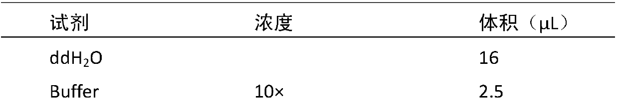 Method for identifying pleurotus ostreatus strain, and special deoxyribonucleic acid (DNA) bar code fragment