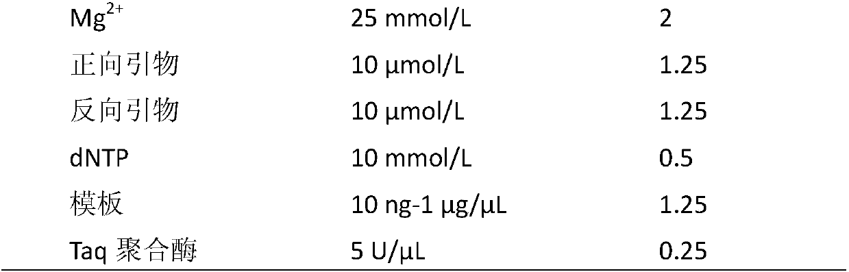 Method for identifying pleurotus ostreatus strain, and special deoxyribonucleic acid (DNA) bar code fragment