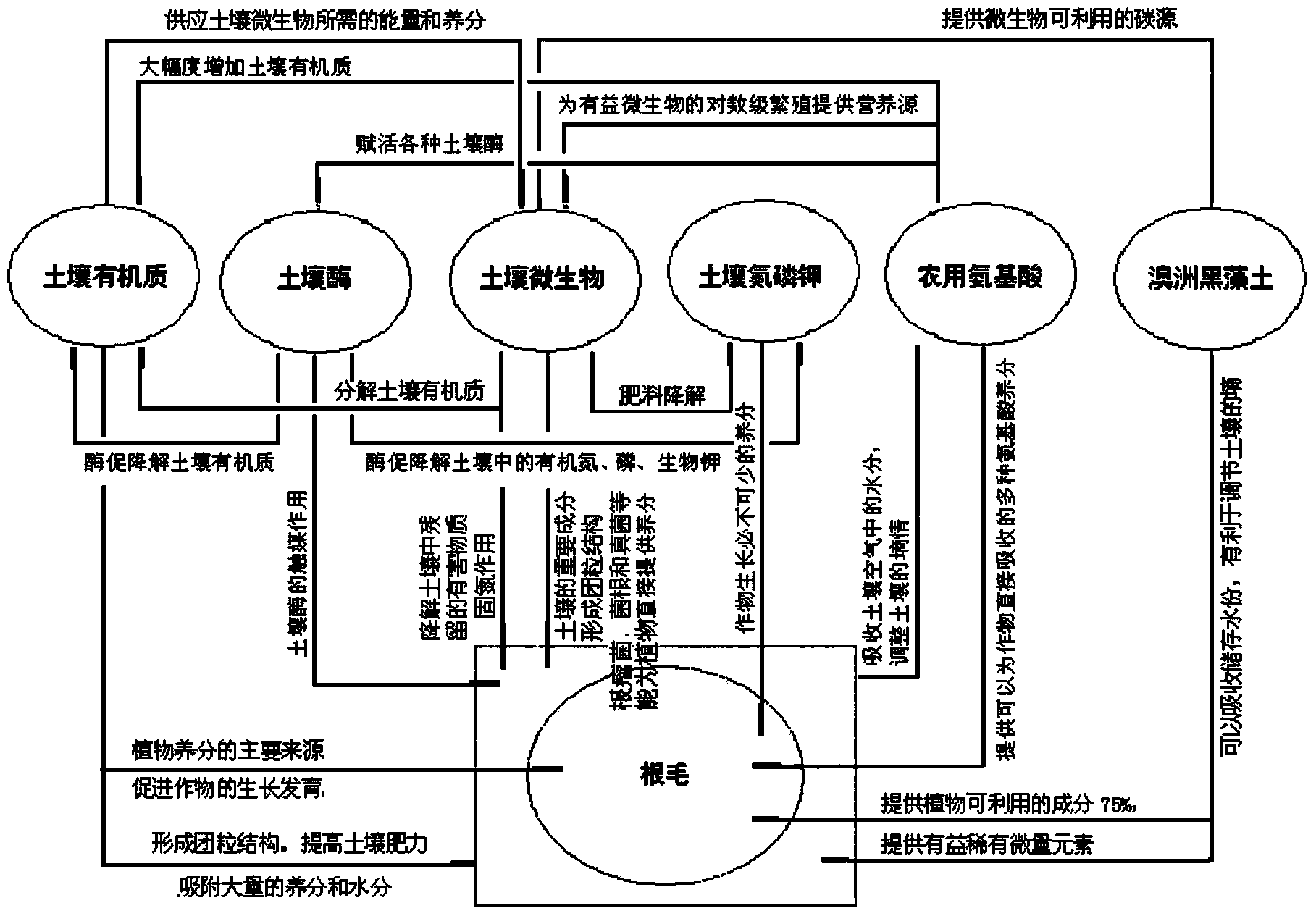 Preparation method, product and application of soil remediating active organic fertilizer