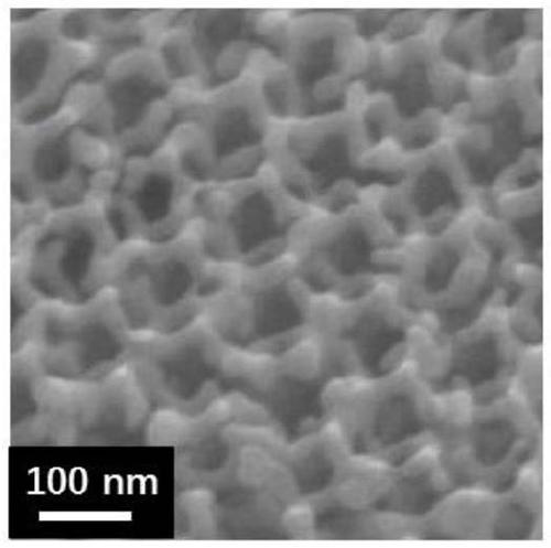 Perovskite catalyst and preparation method and application thereof