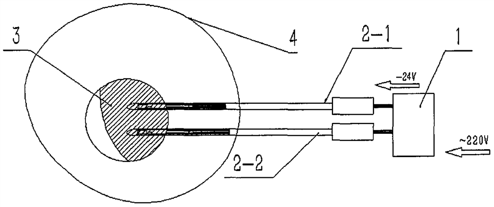 Solid tumor treatment system capable of realizing temperature measurement and temperature control