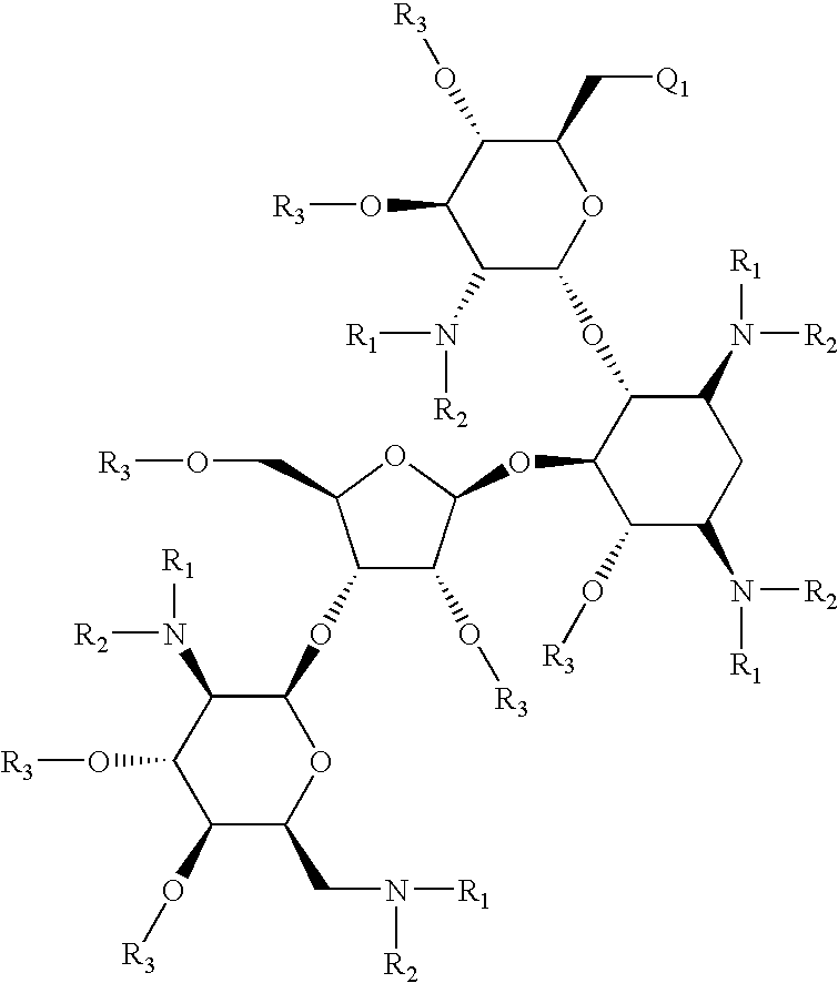 Antibacterial 6'-modified 4,5-substituted aminoglycoside analogs