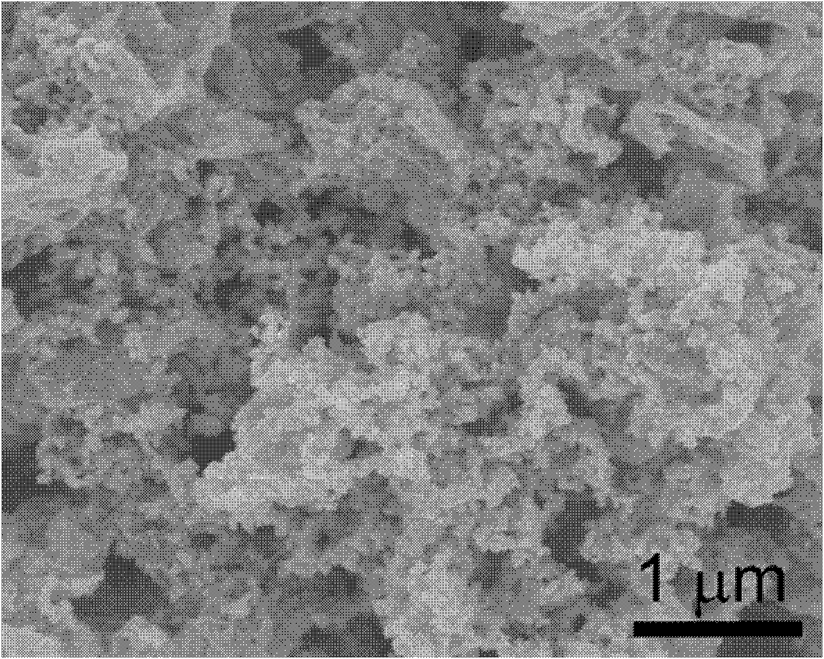 Transition metal oxide/ graphene composite material and preparation method thereof