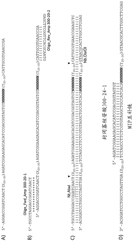 Sequence capture method using specialized capture probes (heatseq)